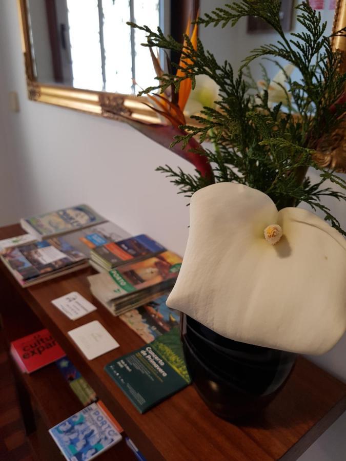 Classico Guesthouse 빌라노바데가이아 외부 사진
